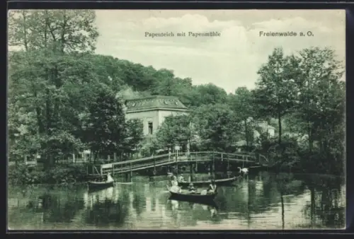 AK Freienwalde a. O., Papenteich mit Papenmühle
