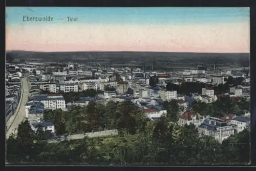 AK Eberswalde, Totalansicht der Stadt