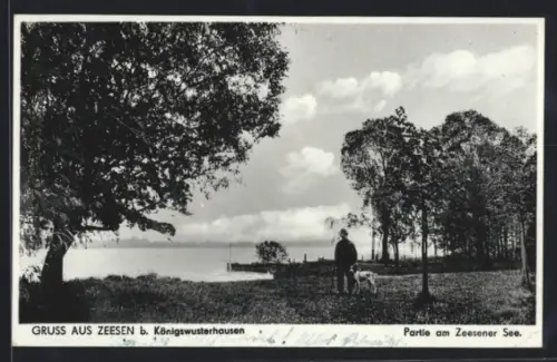 AK Zeesen /Königs Wusterhausen, Partie am Zeesener See