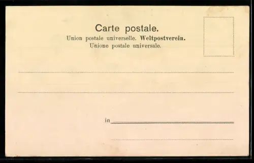 AK Gebrüder Starley, Radsport-Akrobaten