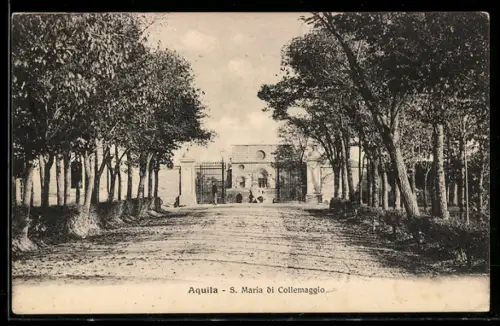 AK Aquila, S. Maria di Collemaggio, viale alberato verso l`ingresso principale della basilica