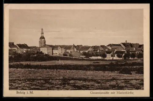AK Belzig, Gesamtansicht mit Marienkirche