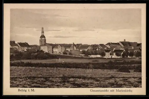 AK Belzig, Gesamtansicht mit der Marienkirche