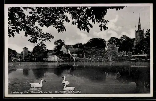 AK Ladeburg über Bernau b. Berlin, Dorfteich mit Kirche und Enten