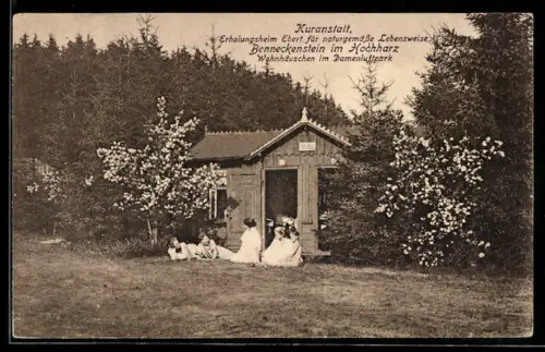 AK Benneckenstein im Hochharz, Kuranstalt, Erholungsheim Ebert, Wohnhäuschen im Damenluftpark