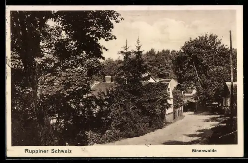 AK Binenwalde /Ruppiner Schweiz, Strassenpartie