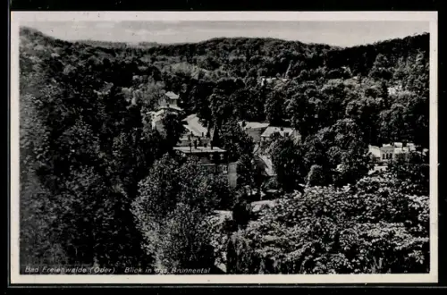 AK Bad Freienwalde / Oder, Blick in das Brunnental