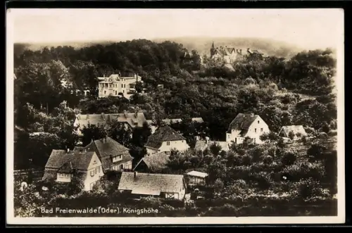 AK Bad Freienwalde /Oder, Königshöhe über die Dächer