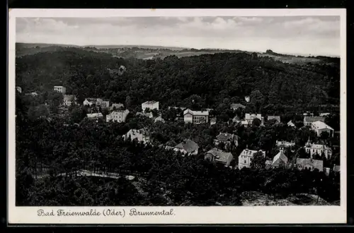 AK Bad Freienwalde, Villen im Brunnental