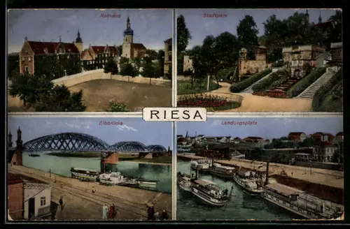 AK Riesa, Rathaus, Stadtpark, Elbbrücke, Landungsplatz