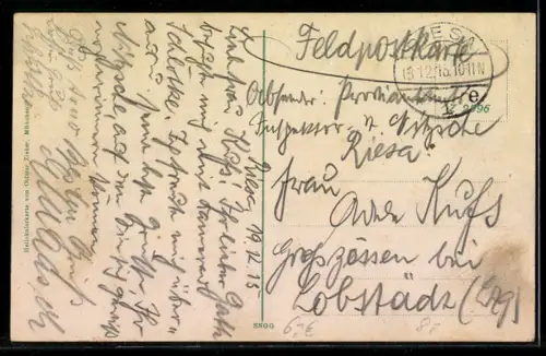 AK Riesa, Rathaus, Stadtpark, Elbbrücke, Landungsplatz