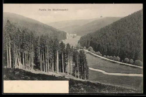 AK Möhrenbach, Partie im Wohlrosetal