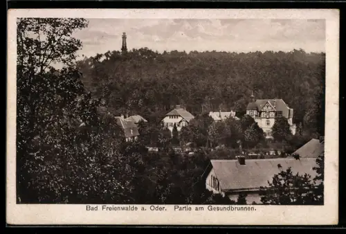 AK Bad Freienwalde a. Oder, Partie am Gesundbrunnen