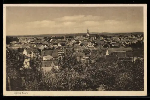 AK Belzig /Mark, Teilansicht mit Kirche