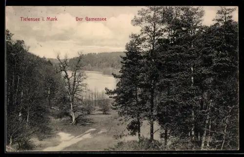 AK Tiefensee, Der Gamensee