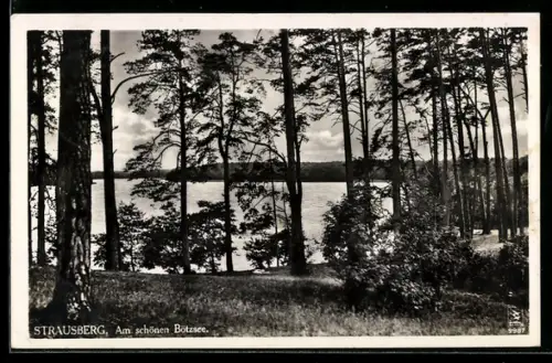 AK Strausberg, Am Bötzsee