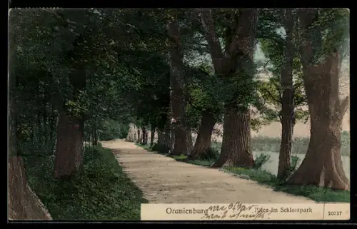 AK Oranienburg, Allee im Schlosspark