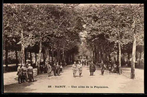 AK Nancy, Une allée de la Pépinière