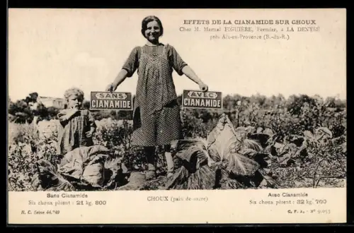 AK Aix-en-Provence, Fermier à La Denyse, M. Martial Figuière, Effets de la Cianamide sur Choux, Pain de sucre