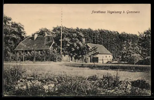 AK Gommern, Forsthaus Vogelsang, Panorama mit Wald