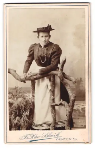 Fotografie F. X. Schröck, Laufen, Bezirksamtgasse, Dame in deutscher Tracht an rustikalem Zaun