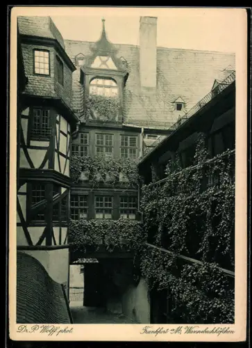 AK Frankfurt a. M., Partie am Wannebachhöfchen, Fotoverlag Dr. Paul Wolff