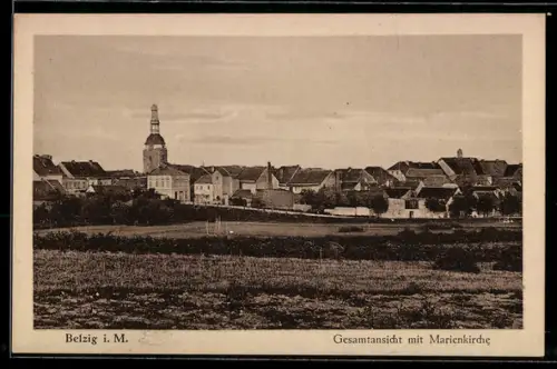 AK Belzig, Gesamtansicht mit der Marienkirche