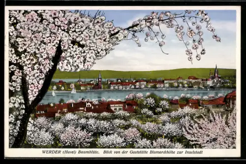 AK Werder /Havel, Baumblüte, Blick von der Gaststätte Bismarckhöhe zur Inselstadt