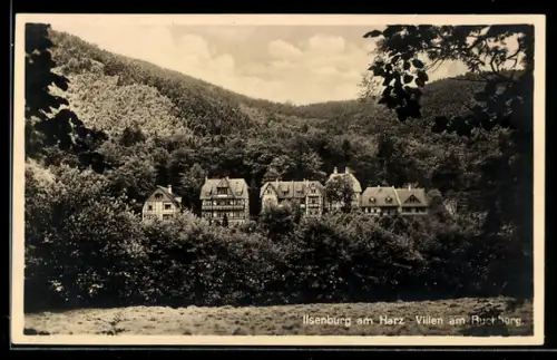 AK Ilsenburg am Harz, Villen am Buchberg