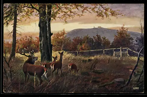 AK Inselsberg, Blick auf den Gipfel vom Grossen Wagenberg aus gesehen