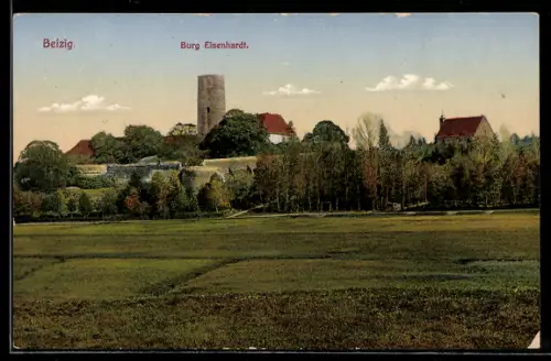 AK Belzig, Ortsansicht mit Burg Eisenhardt
