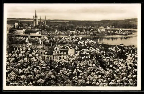 AK Werder a. H., Panorama während der Baumblüte