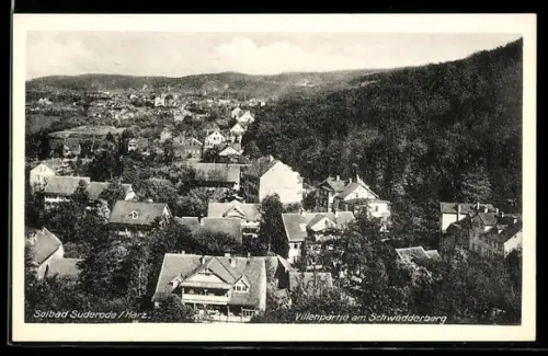 AK Suderode /Harz, Villenpartie am Schwedderberg