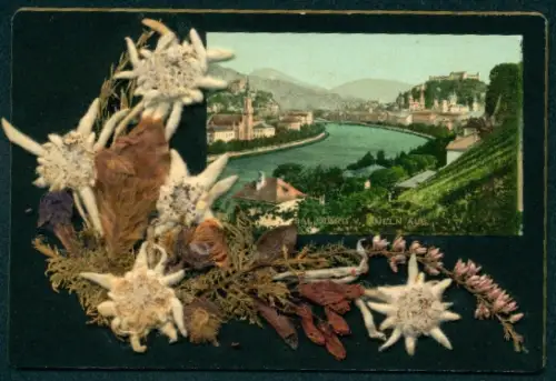 Trockenblumen-AK Salzburg, Von Mülln aus gesehen, Verziert mit Trockenblumen, Edelweiss