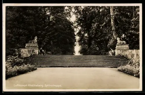 AK Rheinsberg, Sphinxtreppe im Park