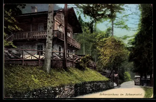 AK Schwarzburg /Schwarzatal, Schweizerhaus am Berghang