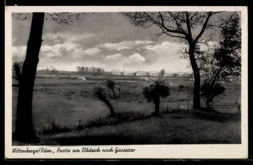 AK Wittenberge /Pdm., Partie am Elbdeich nach Garsedow