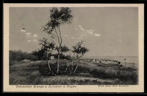 AK Breege-Juliusruh auf Rügen, Blick nach dem Strande