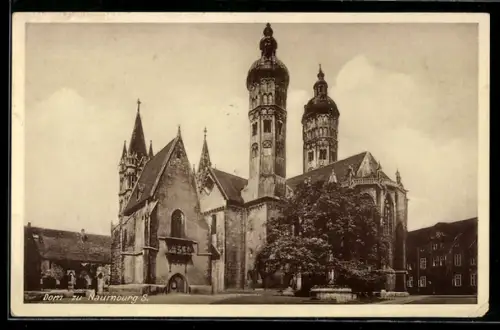 AK Naumburg S., Dom
