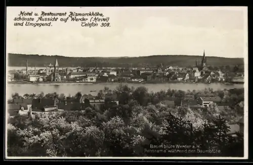 AK Werder, Gesamtansicht während der Baumblüte