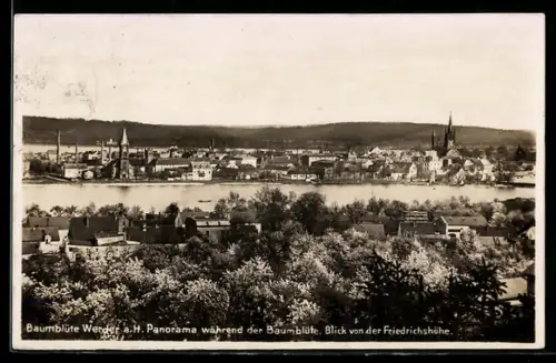 AK Werder a. H., Panorama während der Baumblüte, Blick von der Friedrichshöhe