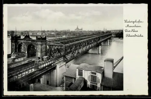 AK Ludwigshafen, Mannheim, Die Neue Rheinbrücke