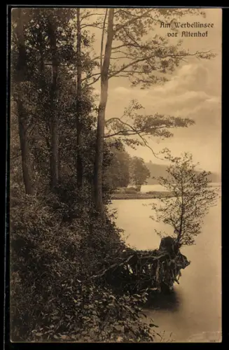 AK Altenhof, Am Werbellinsee