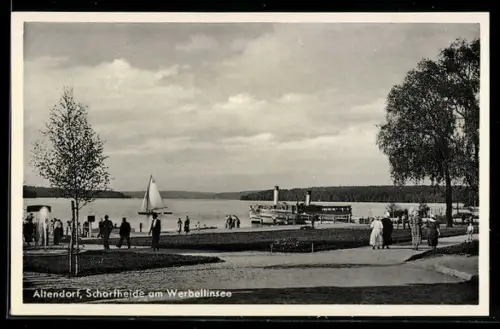 AK Altenhof /Schorfheide, Partie am Werbellinsee