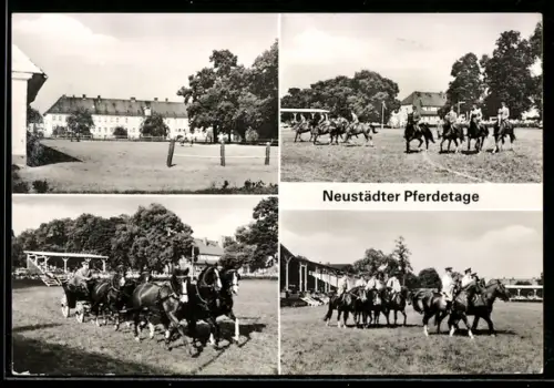 AK Neustadt /Dosse, Pferdetage, Reitvorführungen, Gespanne
