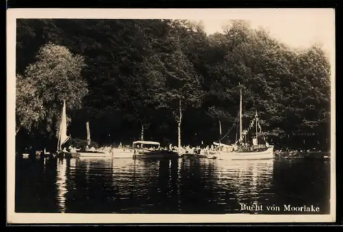 AK Berlin-Wannsee, Moorlake, Bucht von Moorlake, Motorboote an der Anlegestelle
