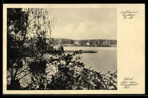 AK Lychen /U.-M., Blick über den Oberpfuhl See