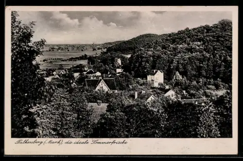 AK Falkenberg /Mark, Ortsansicht mit bewaldeter Umgebung