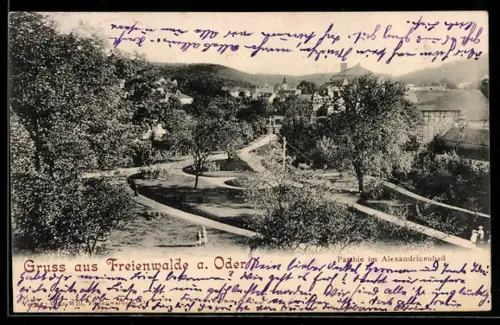 AK Freienwalde a. Oder, Partie im Alexandrinenpark
