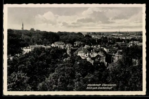 AK Eberswalde, Blick vom Drachenkopf über die Stadt